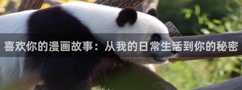 免费耽美漫画网站
