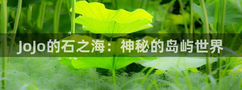 耽美漫画网址