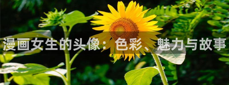 耽美漫画在线免费观看
