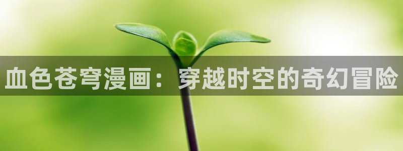耽美漫画网