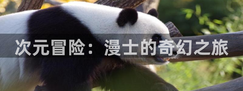 耽美漫画未删减